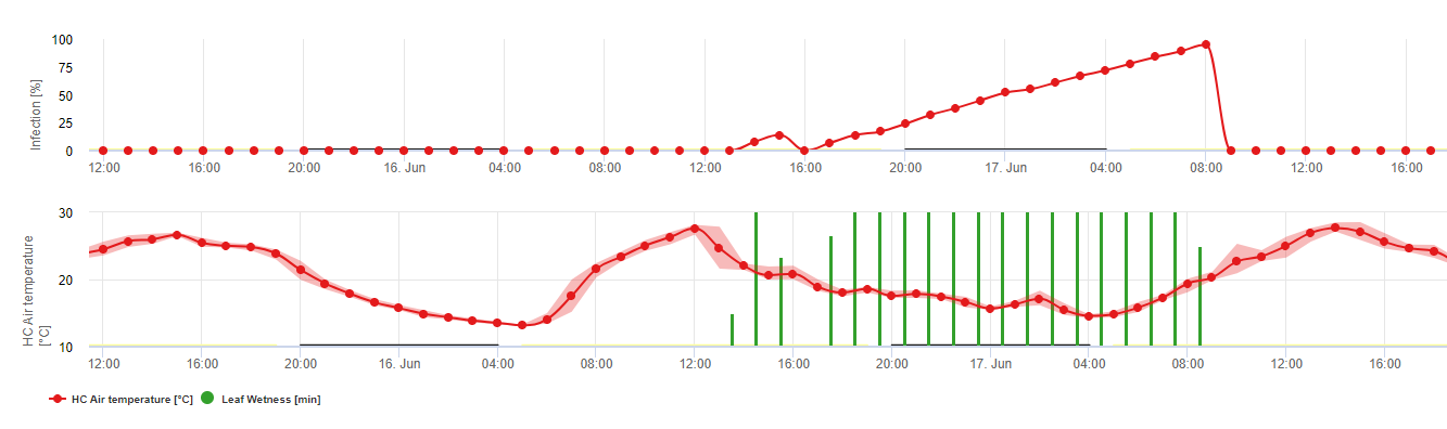 Hemp Anthracnose Infection