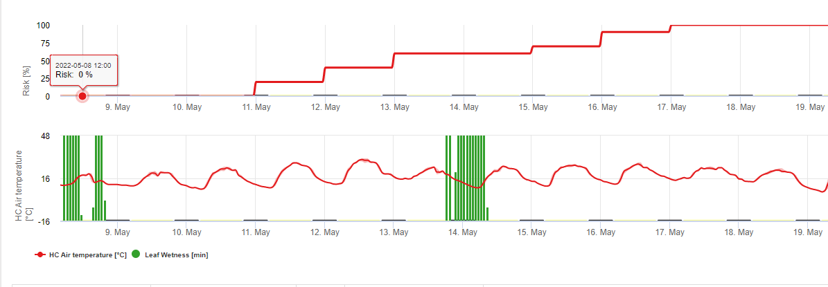 Hemp Open Field Tomato